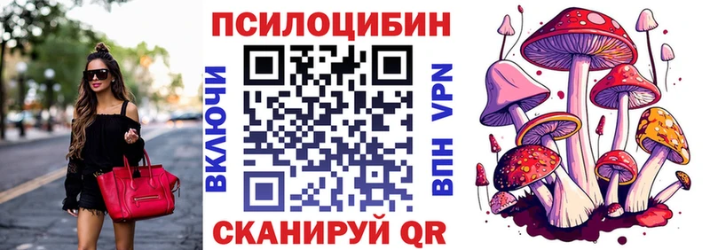 Купить где  Кандалакша  Псилоцибиновые грибы Psilocybe 